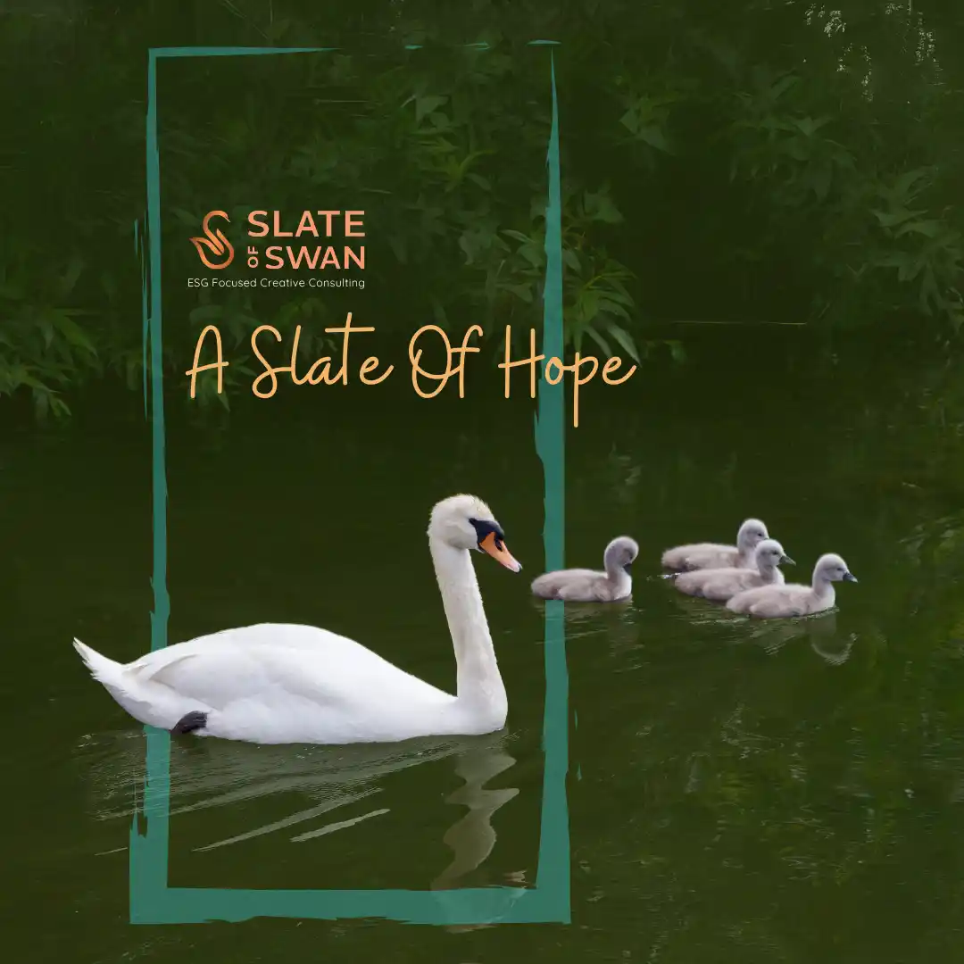 Slate of Swan visual identity – ESG Impact communication and design agency