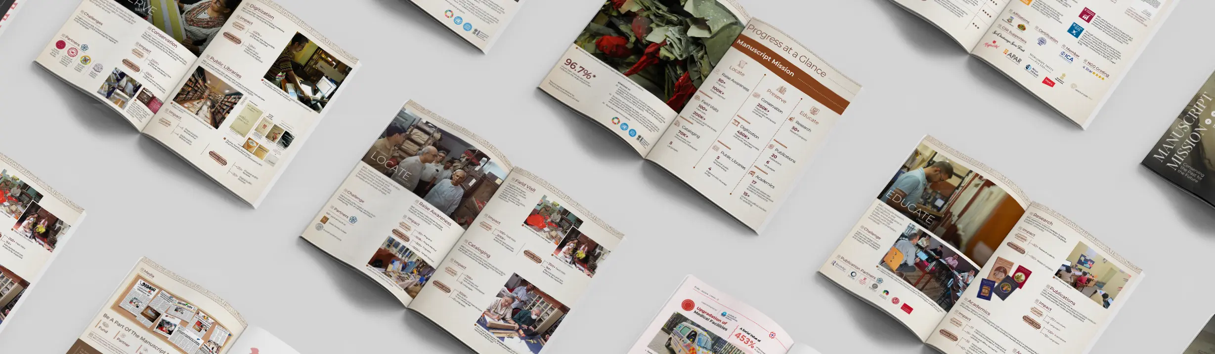 Various types of NGO Reports by Slate of Swan