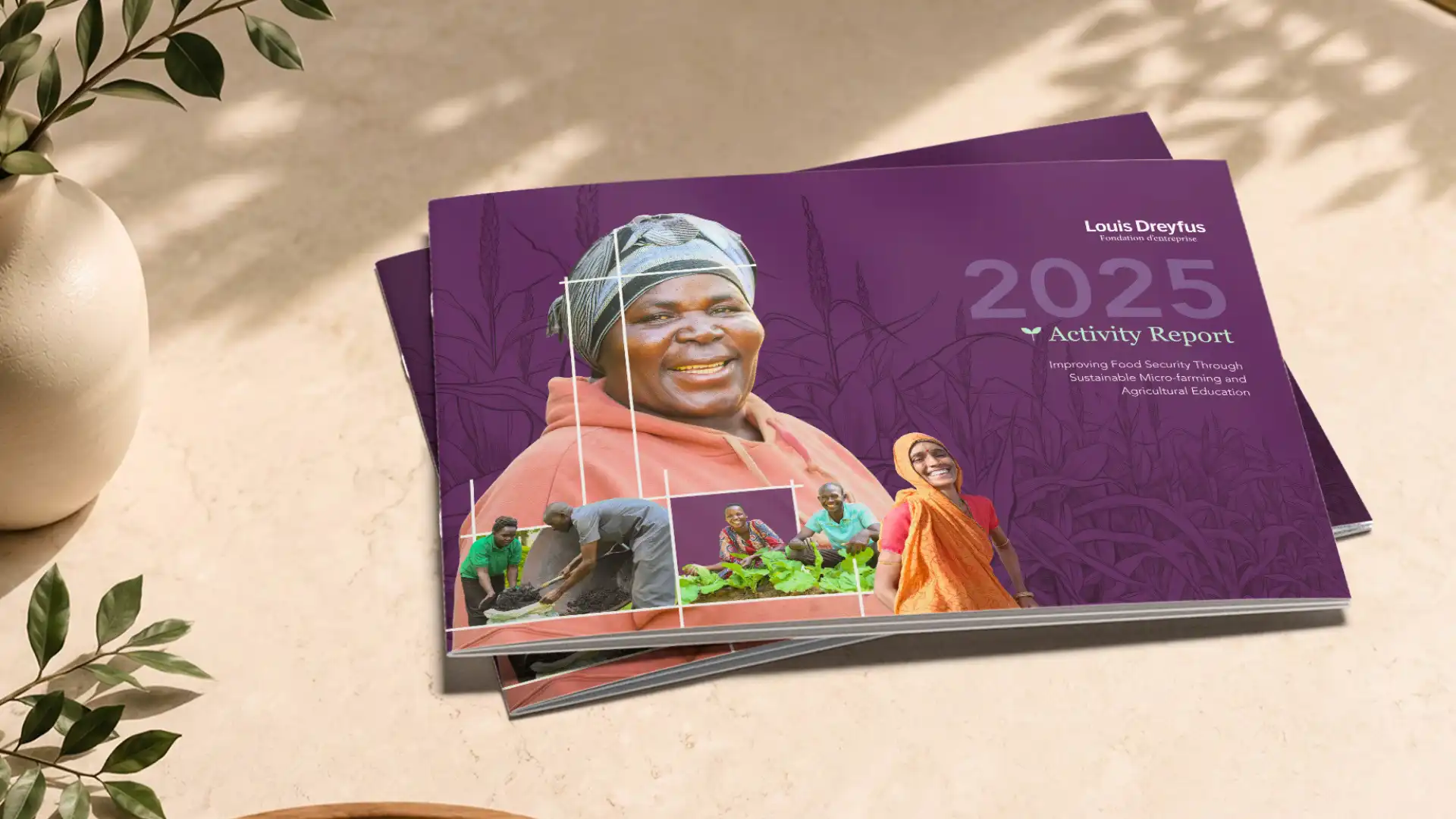 Louis Dreyfus Foundation annual report cover and title page detail